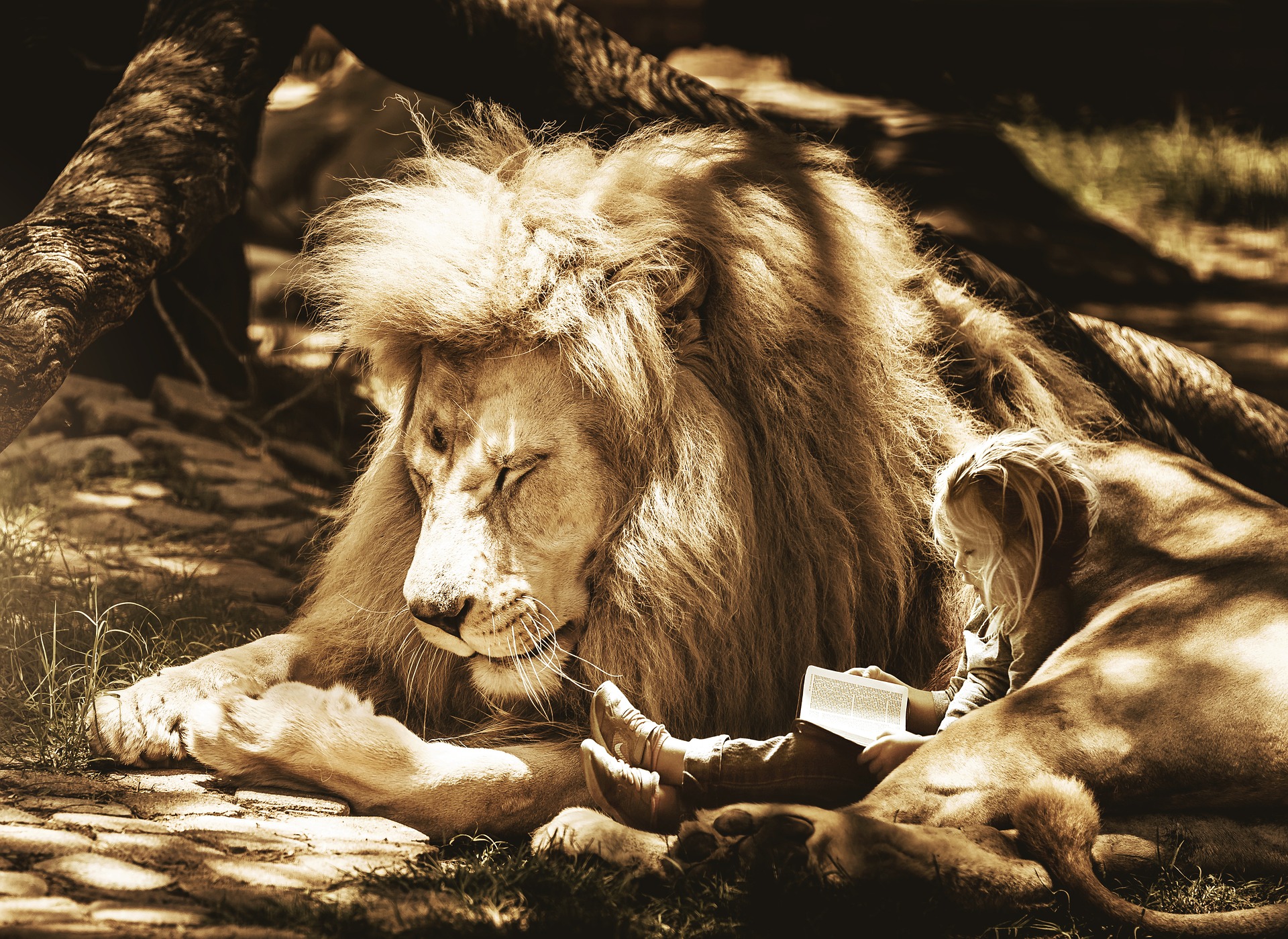 Christ as King