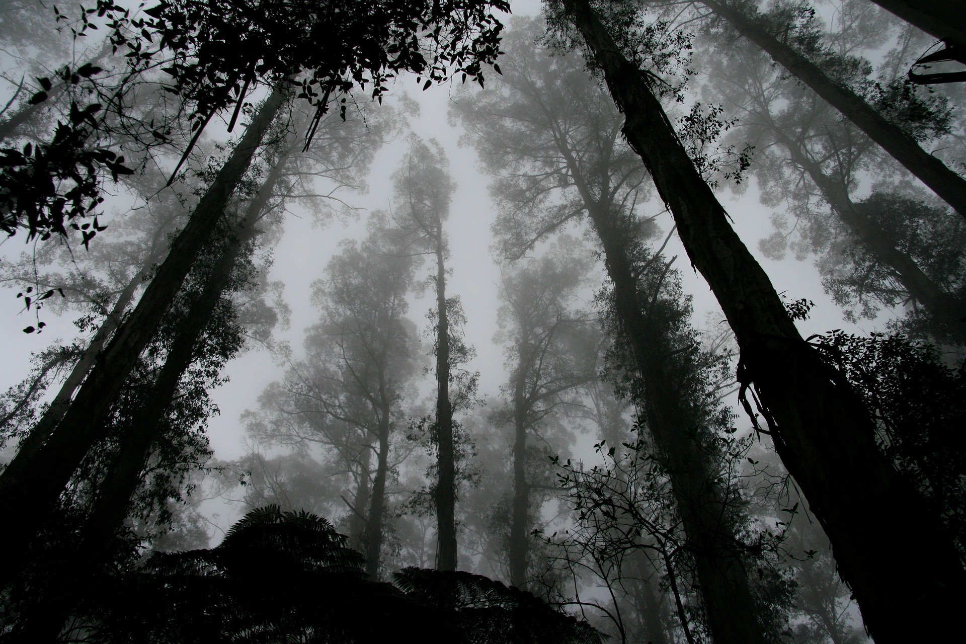 Jesus’ Work And Telling Tormentors To Take A Hike