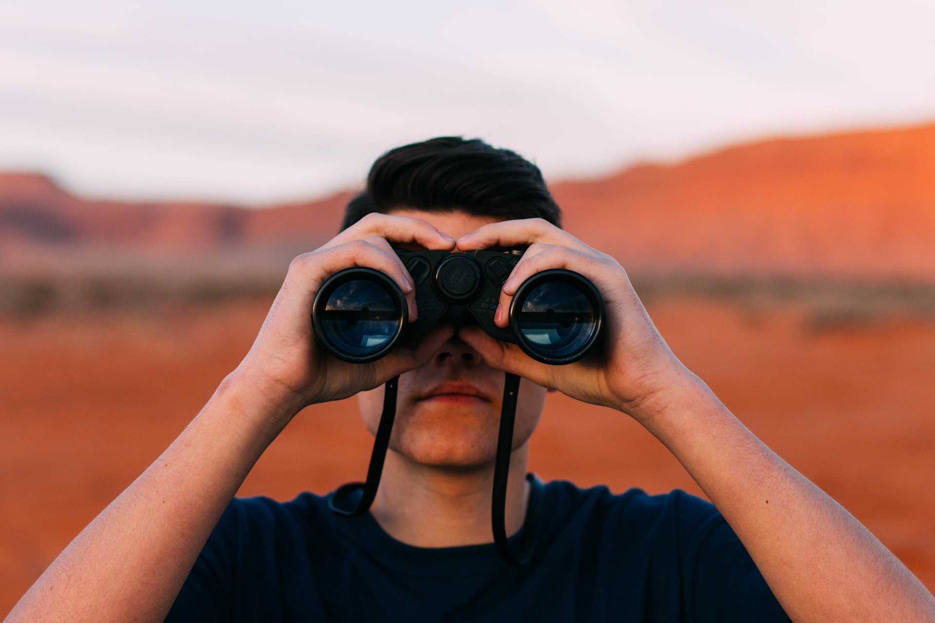 What are you looking for?