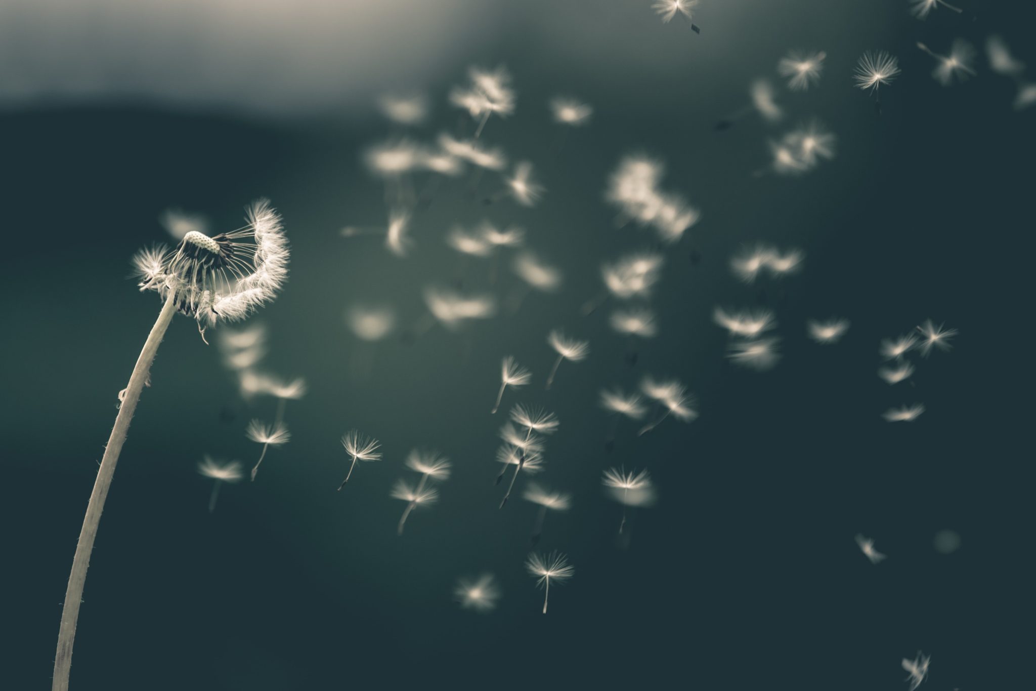 Breath of the Spirit